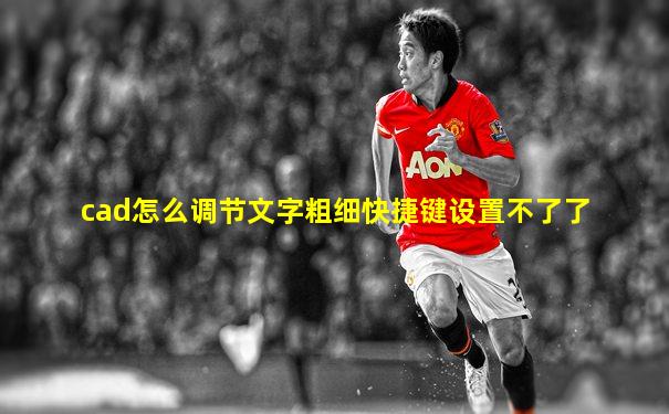 cad怎么调节文字粗细快捷键设置不了了