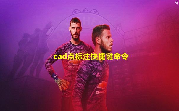 cad点标注快捷键命令