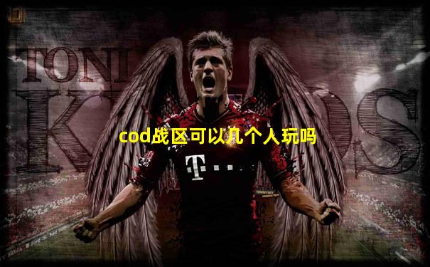 cod战区可以几个人玩吗