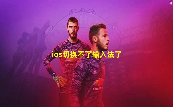 ios切换不了输入法了