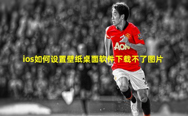ios如何设置壁纸桌面软件下载不了图片