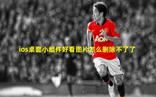 ios桌面小组件好看图片怎么删除不了了