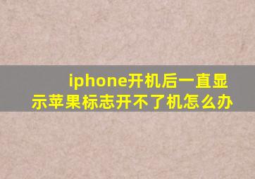 iphone开机后一直显示苹果标志开不了机怎么办