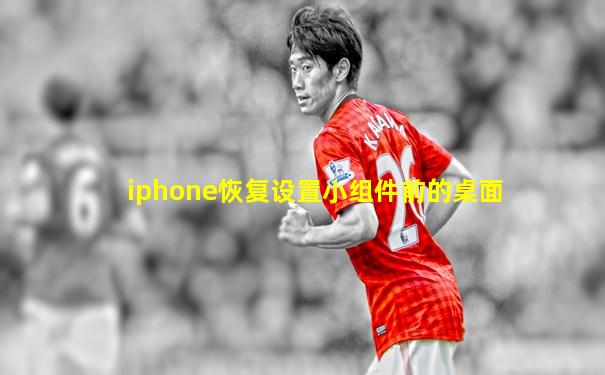 iphone恢复设置小组件前的桌面