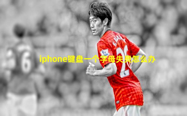 iphone键盘一个字母失灵怎么办