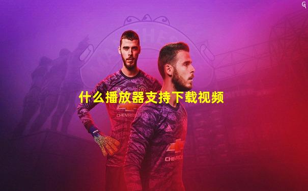 什么播放器支持下载视频