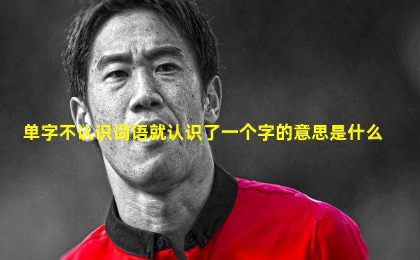 单字不认识词语就认识了一个字的意思是什么