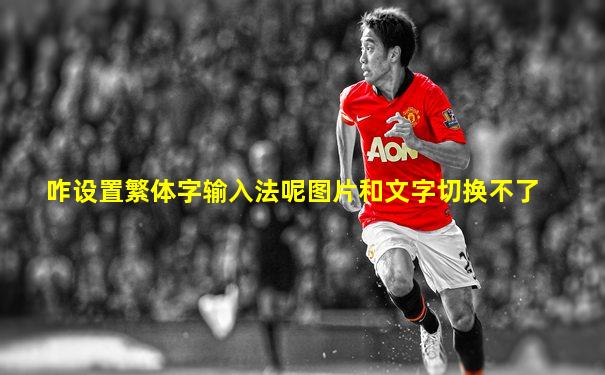 咋设置繁体字输入法呢图片和文字切换不了