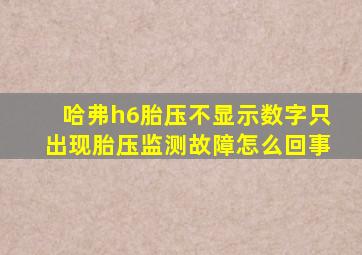 哈弗h6胎压不显示数字只出现胎压监测故障怎么回事
