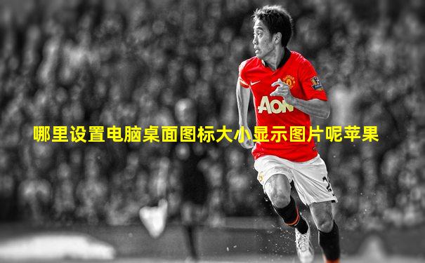 哪里设置电脑桌面图标大小显示图片呢苹果