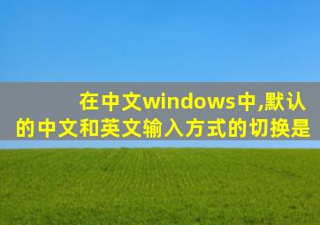 在中文windows中,默认的中文和英文输入方式的切换是