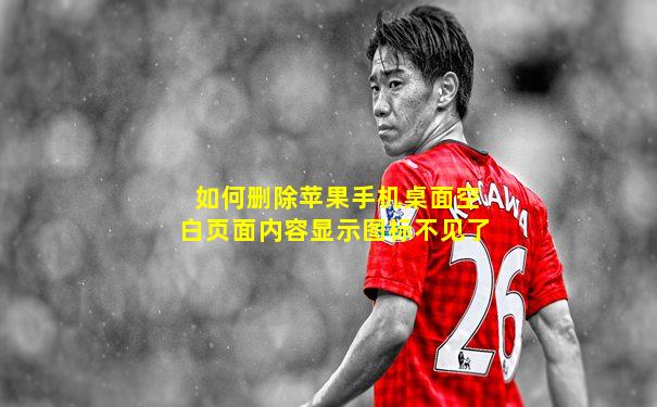 如何删除苹果手机桌面空白页面内容显示图标不见了