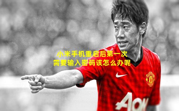 小米手机重启后第一次需要输入密码该怎么办呢