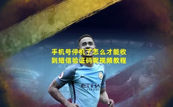 手机号停机了怎么才能收到短信验证码呢视频教程