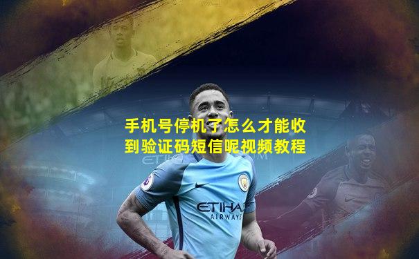 手机号停机了怎么才能收到验证码短信呢视频教程