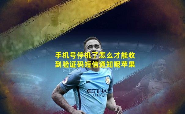 手机号停机了怎么才能收到验证码短信通知呢苹果