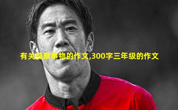 有关观察事物的作文,300字三年级的作文