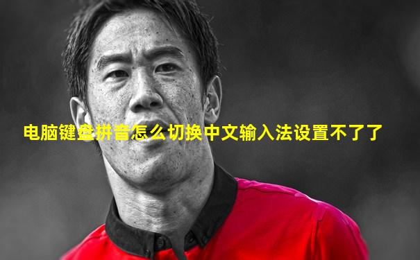 电脑键盘拼音怎么切换中文输入法设置不了了