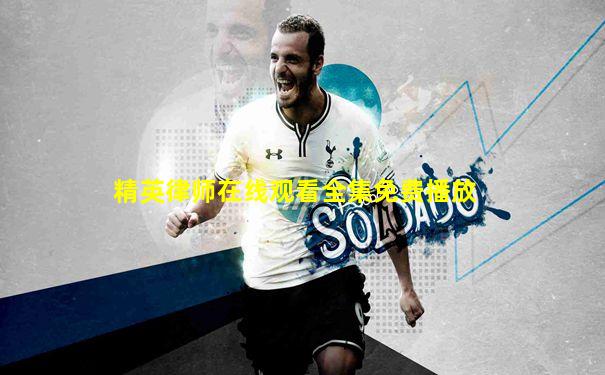 精英律师在线观看全集免费播放