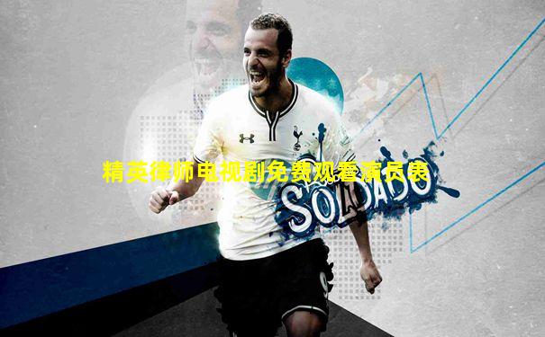 精英律师电视剧免费观看演员表