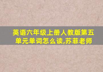 英语六年级上册人教版第五单元单词怎么读,苏菲老师