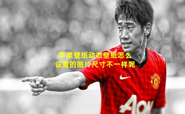 苹果壁纸动态壁纸怎么设置的图片尺寸不一样呢