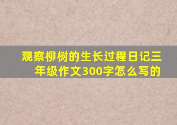 观察柳树的生长过程日记三年级作文300字怎么写的