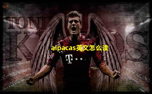 aipacas英文怎么读