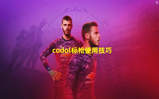 codol标枪使用技巧