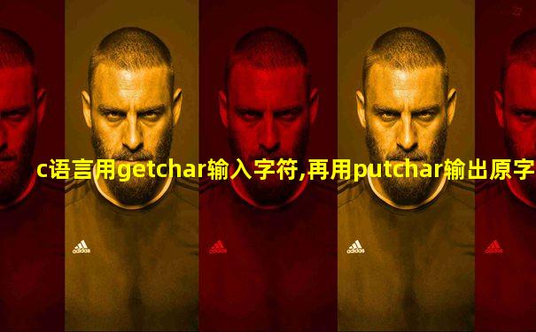 c语言用getchar输入字符,再用putchar输出原字符