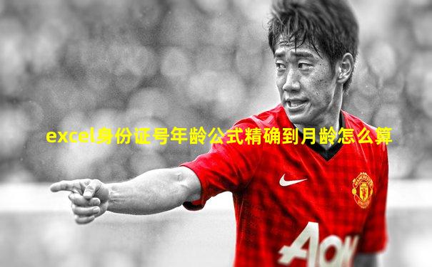 excel身份证号年龄公式精确到月龄怎么算