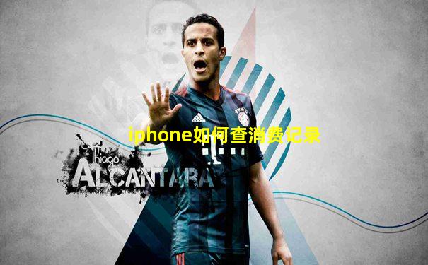 iphone如何查消费记录