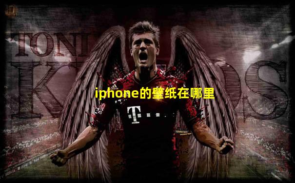 iphone的壁纸在哪里