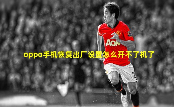 oppo手机恢复出厂设置怎么开不了机了