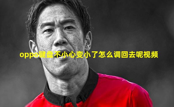 oppo键盘不小心变小了怎么调回去呢视频