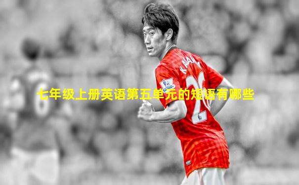 七年级上册英语第五单元的短语有哪些