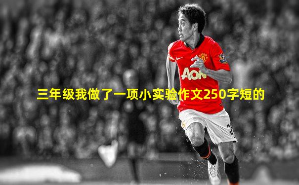 三年级我做了一项小实验作文250字短的