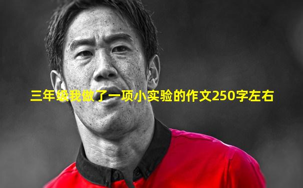 三年级我做了一项小实验的作文250字左右