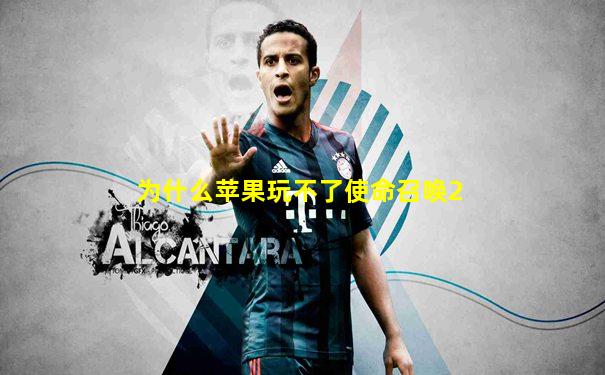 为什么苹果玩不了使命召唤2