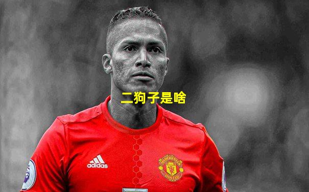 二狗子是啥