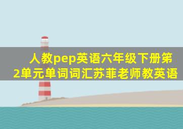 人教pep英语六年级下册笫2单元单词词汇苏菲老师教英语
