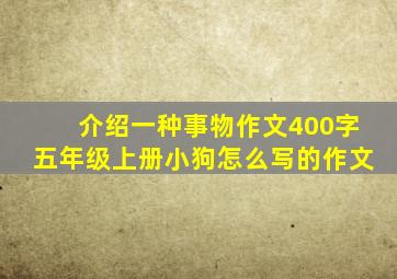 介绍一种事物作文400字五年级上册小狗怎么写的作文