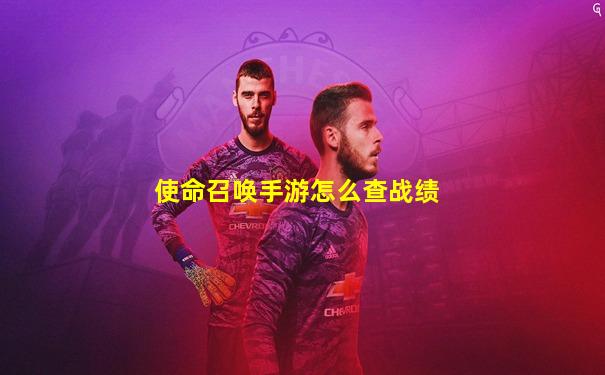 使命召唤手游怎么查战绩
