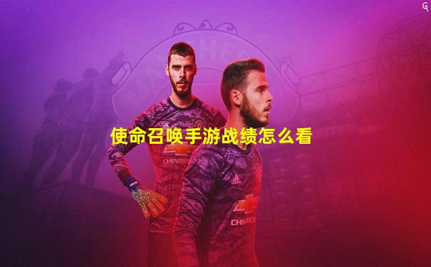 使命召唤手游战绩怎么看