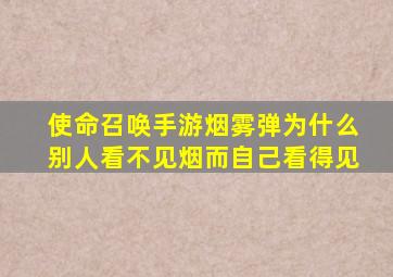 使命召唤手游烟雾弹为什么别人看不见烟而自己看得见
