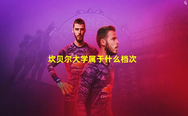 坎贝尔大学属于什么档次