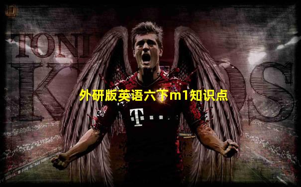 外研版英语六下m1知识点