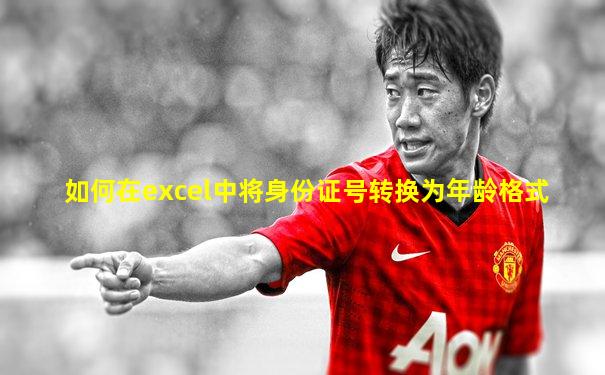 如何在excel中将身份证号转换为年龄格式