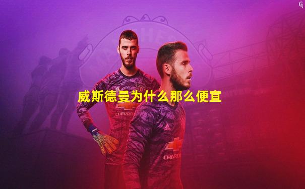 威斯德曼为什么那么便宜