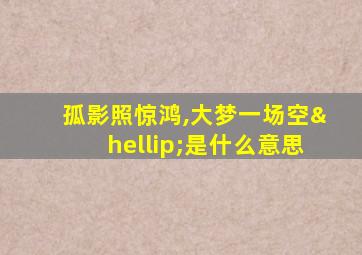 孤影照惊鸿,大梦一场空…是什么意思